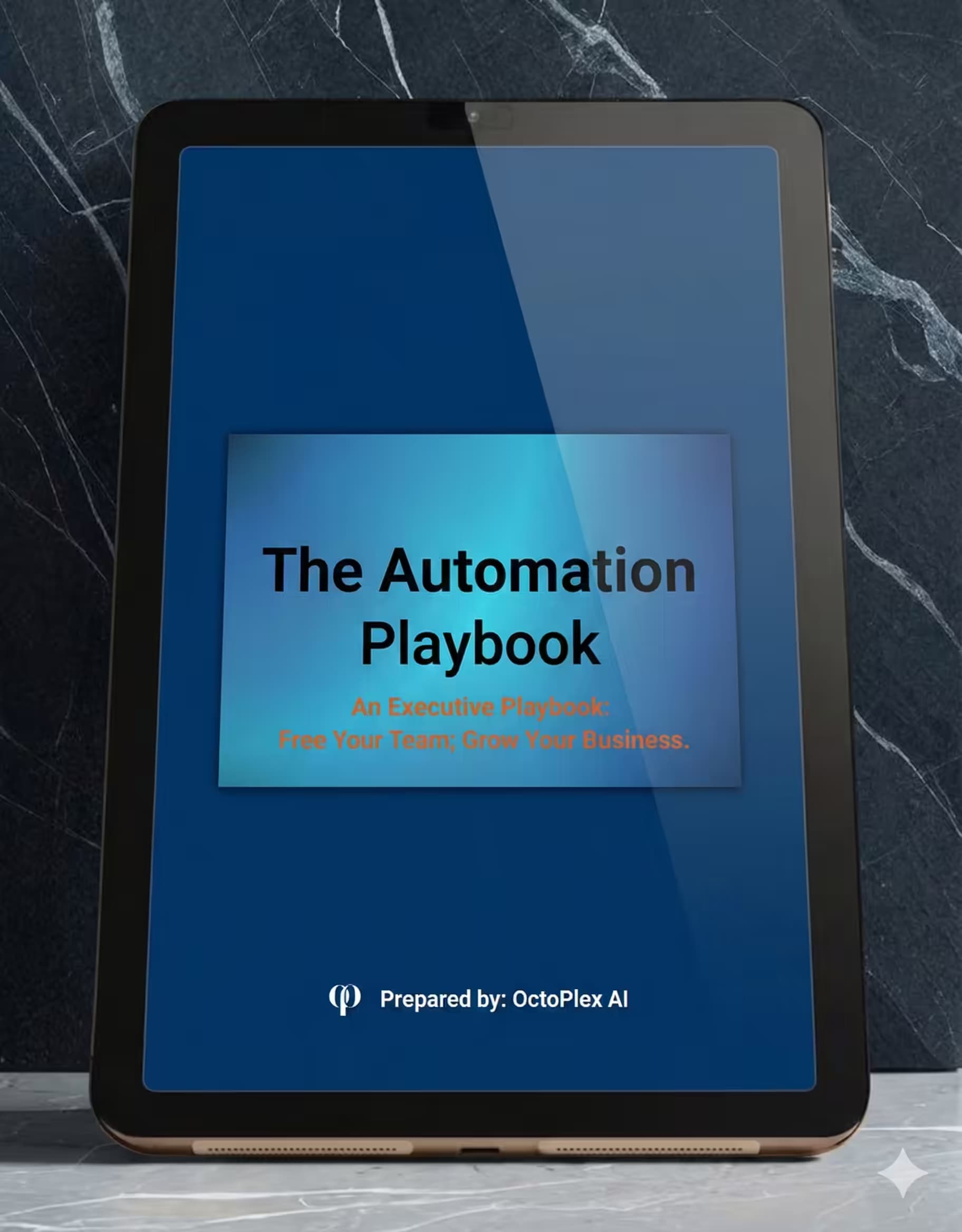 Executive Briefing Playbook Mockup